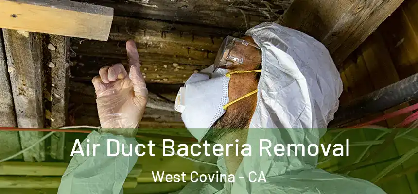  Air Duct Bacteria Removal West Covina - CA