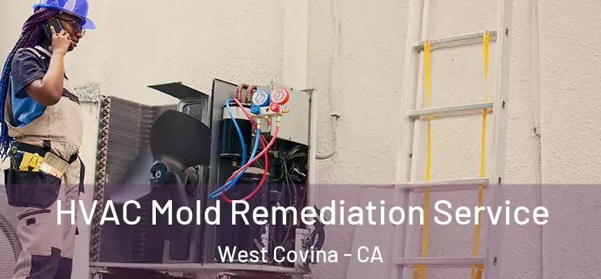  HVAC Mold Remediation Service West Covina - CA