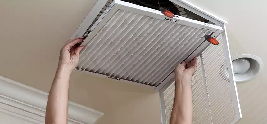Our Insect Removal from Air Ducts Services in West Covina, CA