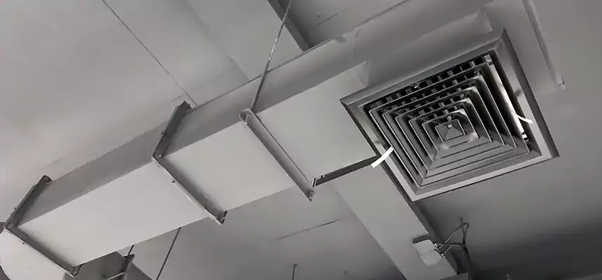 Our Pest Removal From Ducts Services in West Covina, CA