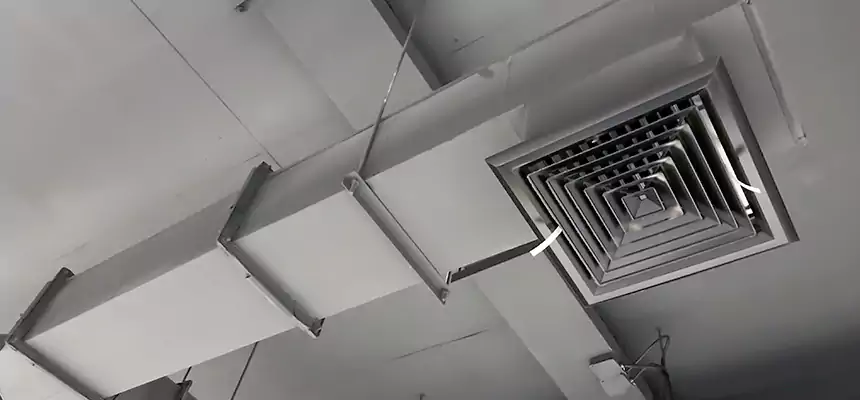 Our Rodent Droppings In Vents Services in West Covina, CA