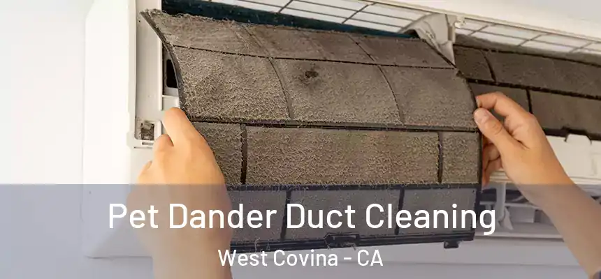  Pet Dander Duct Cleaning West Covina - CA