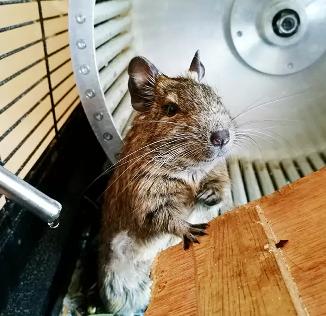 Why Homeowners & Businesses Trust Us West Covina, CA?